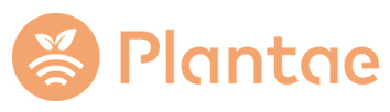 Plantae