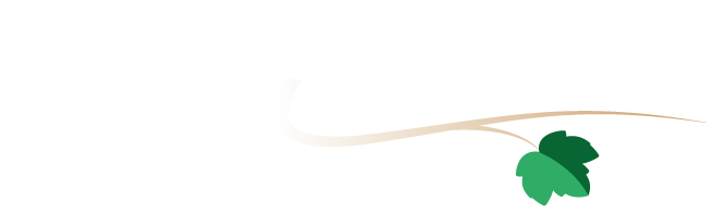 spot_img