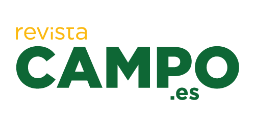 spot_img